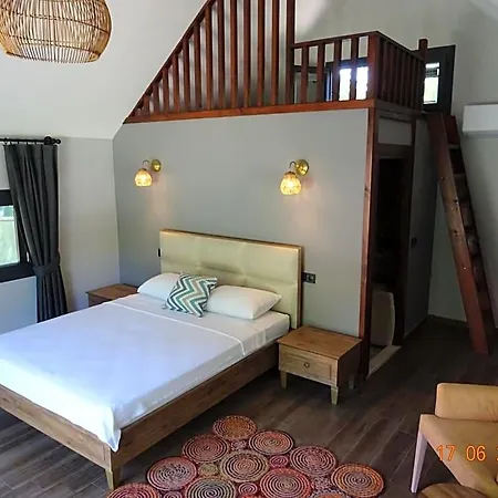 Dalyan Riverside Private Gaia Koru With Swimming Pool Adults Only オルタジャ