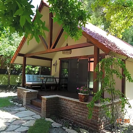 Dalyan Riverside Private Gaia Koru With Swimming Pool Adults Only 4* オルタジャ