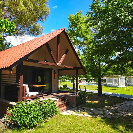 Dalyan Riverside Private Gaia Koru With Swimming Pool Adults Only 4* オルタジャ